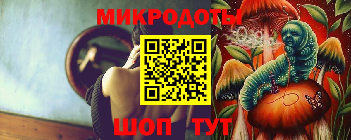 Псилоцибиновые грибы Psilocybine cubensis Барабинск